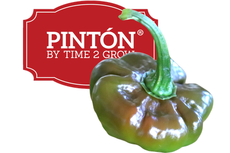 Pinton